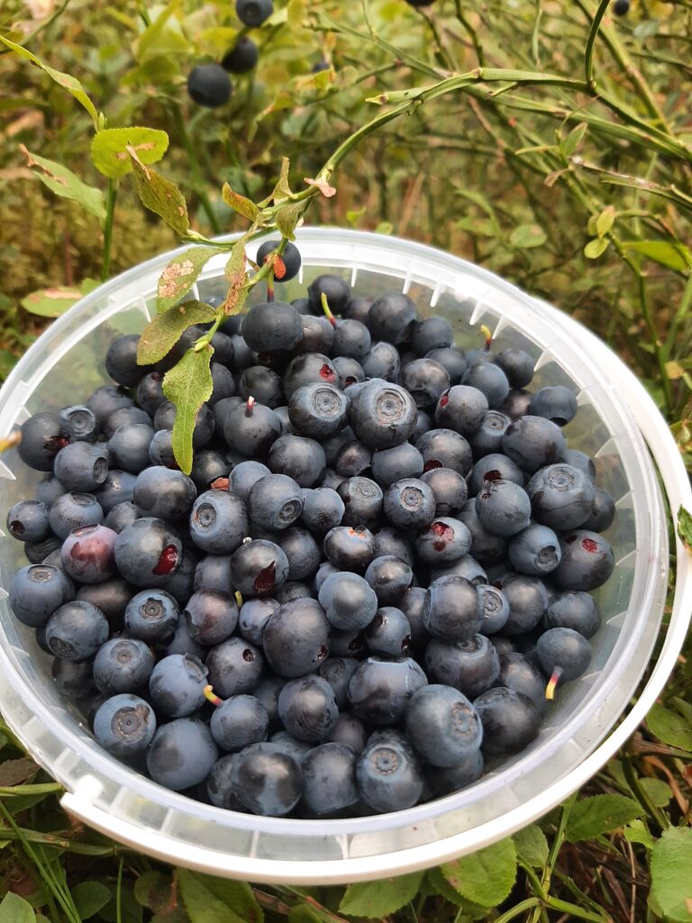 mustika meditatioon ja tantramassaaz